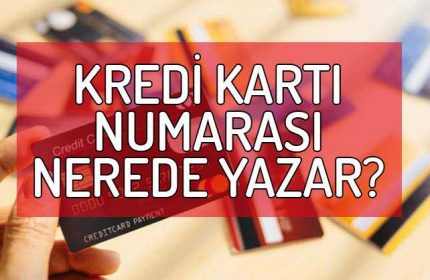 Kredi Kart Numaras Nerede Yazar Kart Numaras Nedir