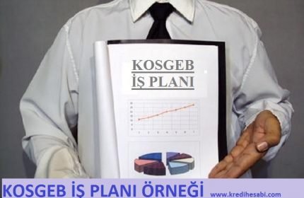 KOSGEB İş Planı 2019
