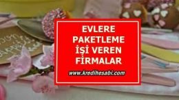 Evlere Paketleme İşi Veren Firmalar 2022 (AYDA 5000 KAZAN)
