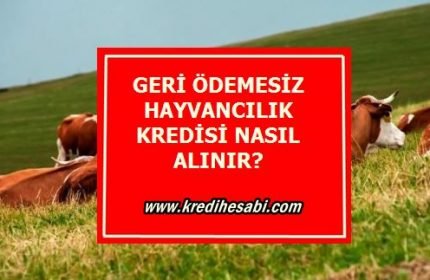 Geri Ödemesiz Hayvancılık Kredisi Nasıl Alınır Şartları Nelerdir?