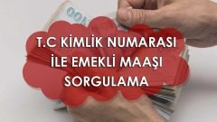T.C. Kimlik Numarası İle Emekli Maaşı Sorgulama