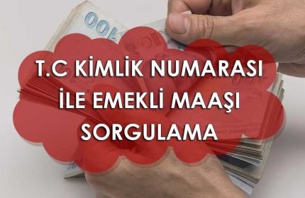 T.C. Kimlik Numarası İle Emekli Maaşı Sorgulama
